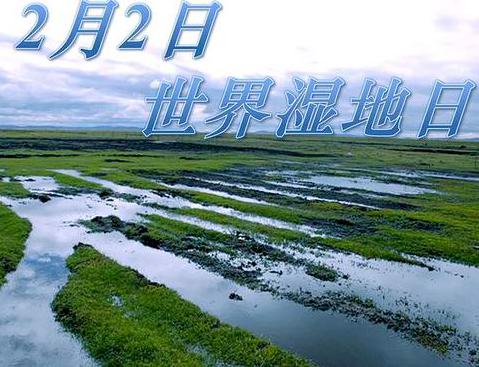 世界濕地日是什么節(jié)？世界濕地日是哪天？世界濕地日的來歷