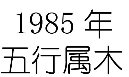 1985Ќʲô1985ʲô