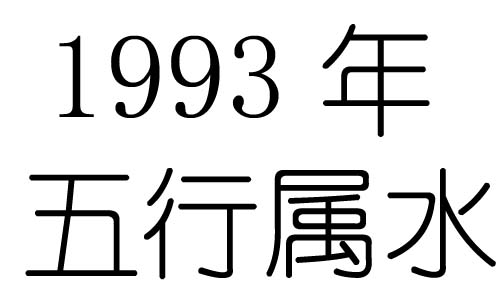 1993Ќʲô1993ʲô