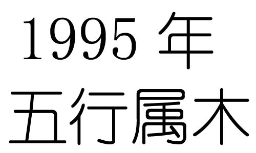 1995Ќʲô1995ʲô