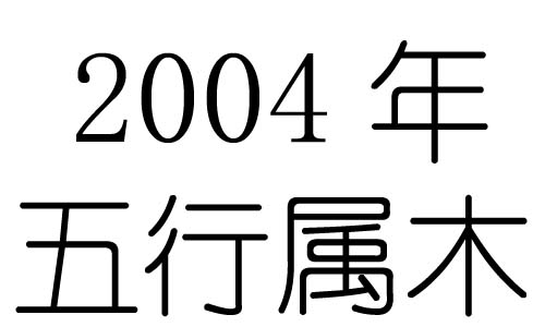 2004Ќʲô2004ʲô