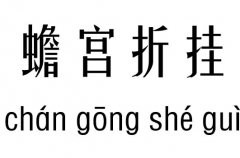 mےм_mےZ(y)