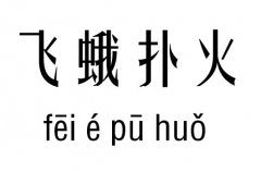 wм_wZ(y)