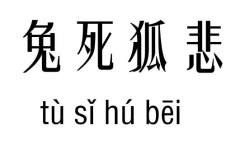 м_Z(y)