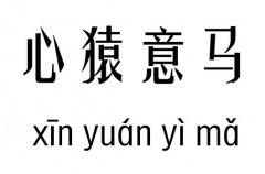 ԳRм_ԳRZ(y)