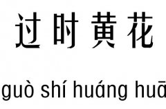 過時(shí)黃花五行吉兇_過時(shí)黃花成語故事