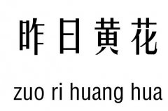 昨日黃花五行吉兇_昨日黃花成語故事