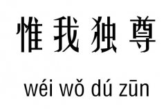 惟我獨(dú)尊五行吉兇_ 惟我獨(dú)尊成語故事