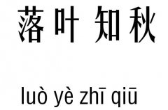 落葉知秋五行吉兇_落葉知秋成語(yǔ)故事