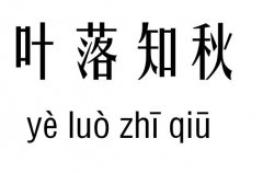 ~֪м_~֪Z