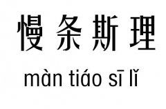l˹м_l˹Z(y)