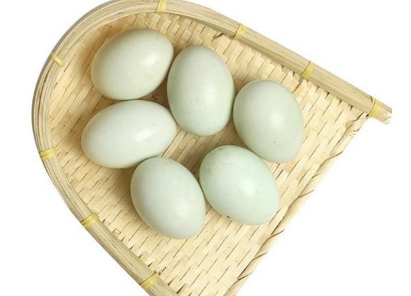 夢見撿到鴨蛋 