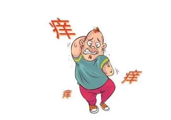 ҊϰW ҊϰWʲôA(y) ҊϰWò