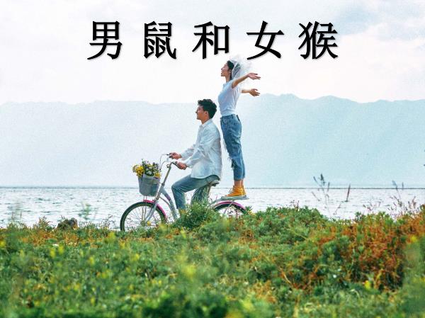 男鼠和女猴配嗎