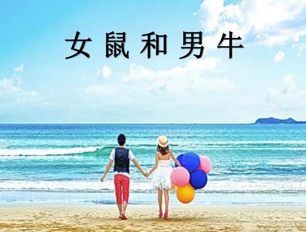 女鼠和男牛配嗎