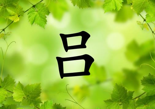 姓呂女孩起名五行屬木兩個(gè)字名字_姓呂女孩屬木100分兩個(gè)字名字