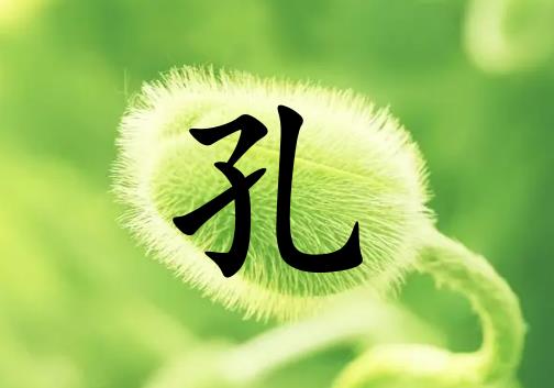 տŮЌľɂ(g)_տŮľ100փɂ(g)