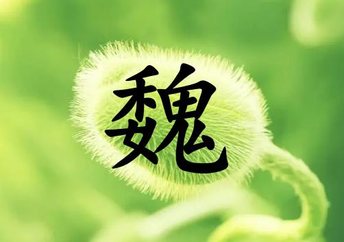 姓魏女孩起名五行屬木兩個字名字_姓魏女孩屬木100分兩個字名字
