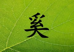 姓奚男孩起名五行屬木兩個字名字_姓奚男孩屬木100分兩個字名字