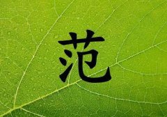 姓范男孩起名五行屬木兩個字名字_姓范男孩屬木100分兩個字名字