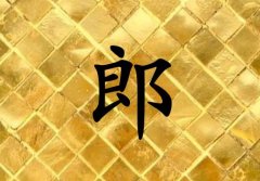 姓郎男孩起名五行屬金兩個字名字_姓郎男孩屬金100分兩個字名字