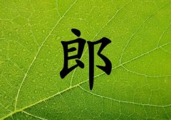 姓郎男孩起名五行屬木兩個字名字_姓郎男孩屬木100分兩個字名字