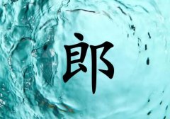 姓郎男孩起名五行屬水兩個字名字_姓郎男孩屬水100分兩個字名字
