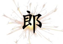 姓郎男孩起名五行屬火兩個字名字_姓郎男孩屬火100分兩個字名字