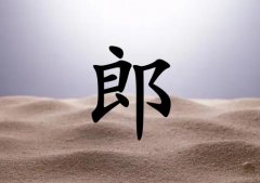 姓郎男孩起名五行屬土兩個字名字_姓郎男孩屬土100分兩個字名字