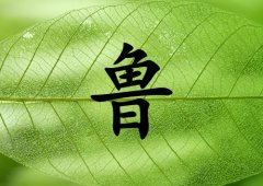 姓魯男孩起名五行屬木兩個字名字_姓魯男孩屬木100分兩個字名字