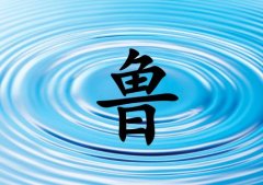 姓魯男孩起名五行屬水兩個字名字_姓魯男孩屬水100分兩個字名字