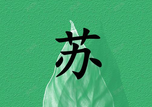 姓蘇女孩起名五行屬木兩個字名字_姓蘇女孩屬木100分兩個字名字