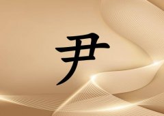 姓尹男孩起名五行屬金兩個字名字_姓尹男孩屬金100分兩個字名字