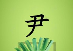 姓尹男孩起名五行屬木兩個字名字_姓尹男孩屬木100分兩個字名字