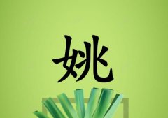 姓姚男孩起名五行屬木兩個字名字_姓姚男孩屬木100分兩個字名字
