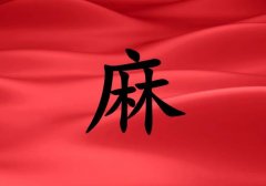 кЌٻɂ(g)_кٻ100փɂ(g)
