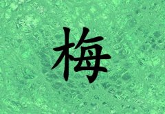 姓梅男孩起名五行屬木兩個字名字_姓梅男孩屬木100分兩個字名字