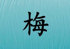 姓梅男孩起名五行屬水兩個字名字_姓梅男孩屬水100分兩個字名字