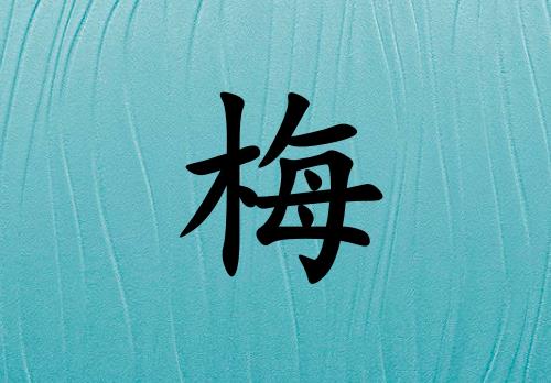 姓梅男孩起名五行屬水兩個字名字_姓梅男孩屬水100分兩個字名字