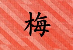 姓梅男孩起名五行屬火兩個字名字_姓梅男孩屬火100分兩個字名字