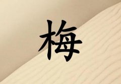 姓梅男孩起名五行屬土兩個字名字_姓梅男孩屬土100分兩個字名字