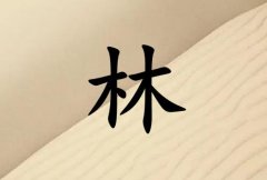 姓林男孩起名五行屬土兩個字名字_姓林男孩屬土100分兩個字名字