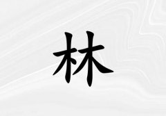 姓林男孩起名五行屬金兩個字名字_姓林男孩屬金100分兩個字名字
