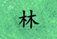 姓林男孩起名五行屬木兩個字名字_姓林男孩屬木100分兩個字名字