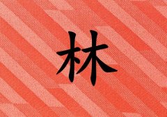 姓林男孩起名五行屬火兩個字名字_姓林男孩屬火100分兩個字名字