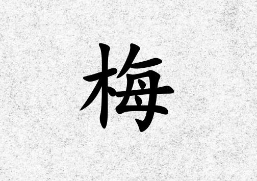 姓梅女孩起名五行屬金兩個(gè)字名字_姓梅女孩屬金100分兩個(gè)字名字