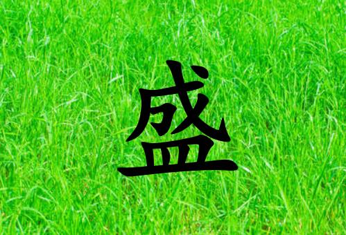 姓盛女孩起名五行屬木兩個(gè)字名字_姓盛女孩屬木100分兩個(gè)字名字