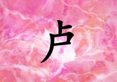 姓盧女孩起名五行屬火兩個(gè)字名字_姓盧女孩屬火100分兩個(gè)字名字