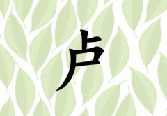 姓盧女孩起名五行屬木兩個(gè)字名字_姓盧女孩屬木100分兩個(gè)字名字