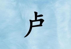 姓盧女孩起名五行屬水兩個(gè)字名字_姓盧女孩屬水100分兩個(gè)字名字